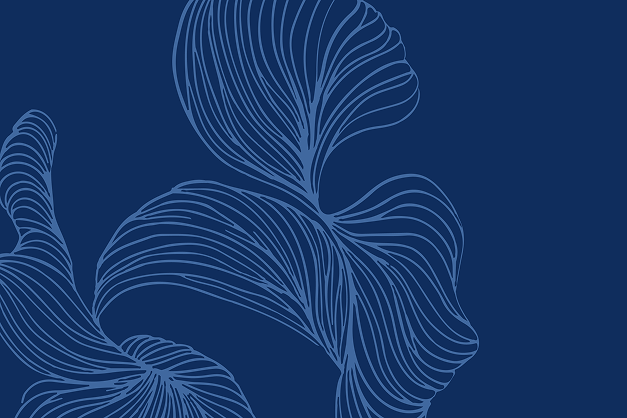 Dr Christophe Hillemand