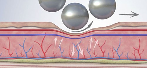 endospheres vascular action
